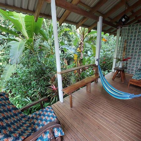 Casa Lina Sloth View Exotic Apartment With Privat Kitchen Puerto Viejo de Talamanca Exterior photo