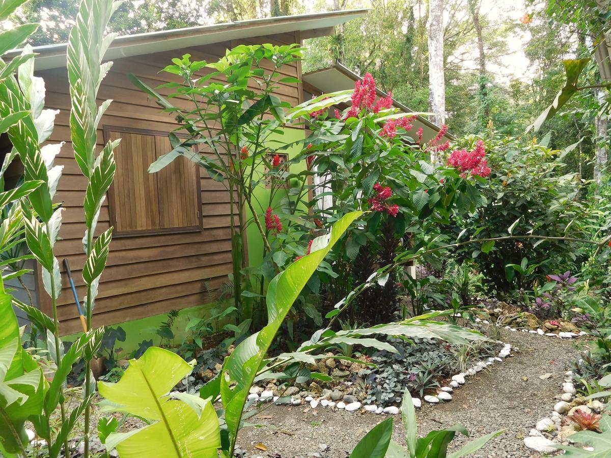 Casa Lina Sloth View Exotic Apartment With Privat Kitchen Puerto Viejo de Talamanca Exterior photo