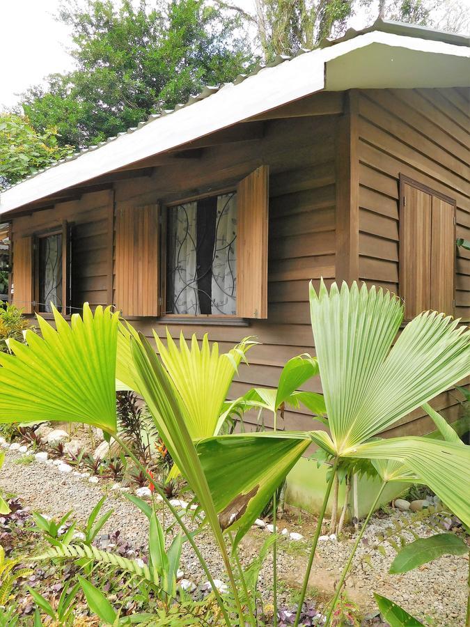 Casa Lina Sloth View Exotic Apartment With Privat Kitchen Puerto Viejo de Talamanca Exterior photo